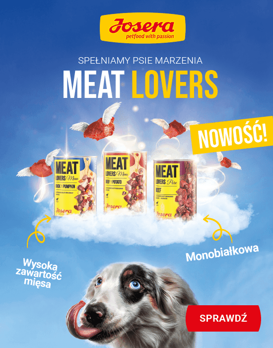 Promo banner